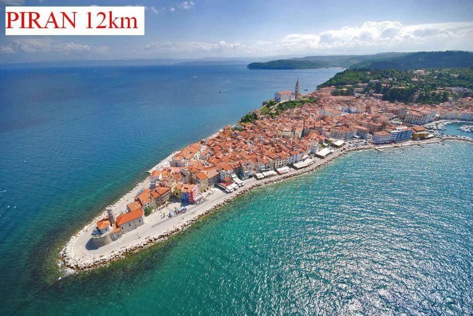 דירות Sečovlje Apartmaji In Vinogradnistvo Klobas מראה חיצוני תמונה