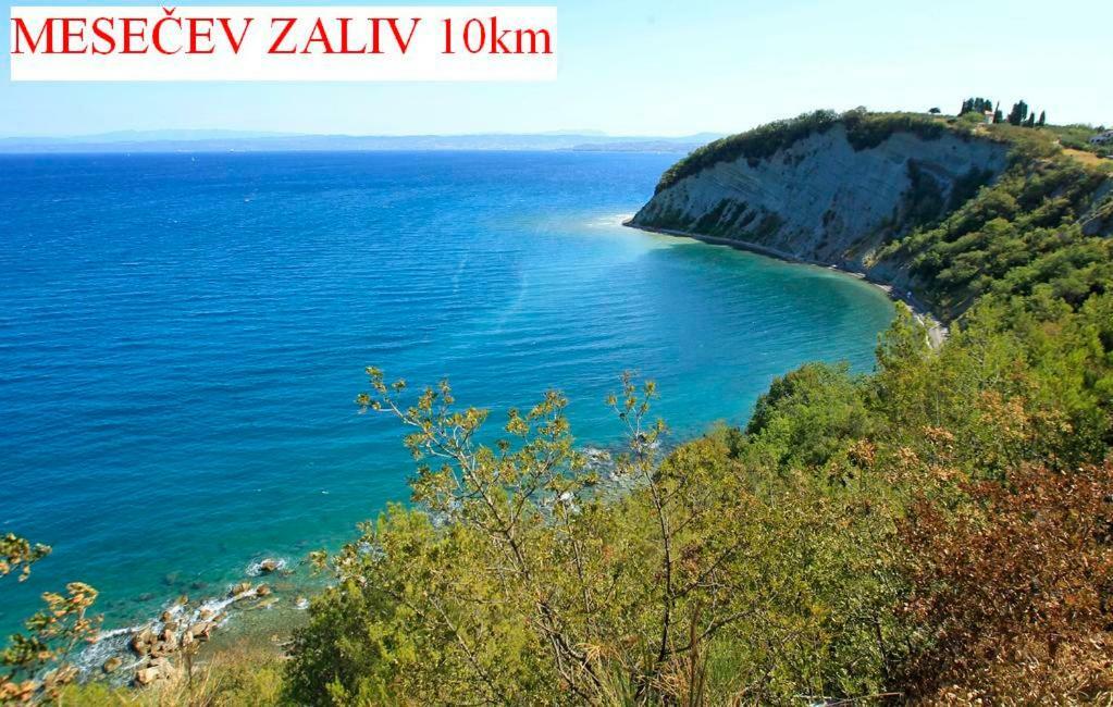 דירות Sečovlje Apartmaji In Vinogradnistvo Klobas מראה חיצוני תמונה